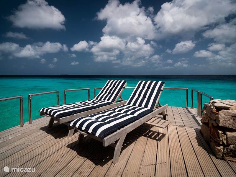 Ferienwohnung Bonaire, Bonaire, Belnem Villa Luxusvilla am Meer 'Op de Maze'