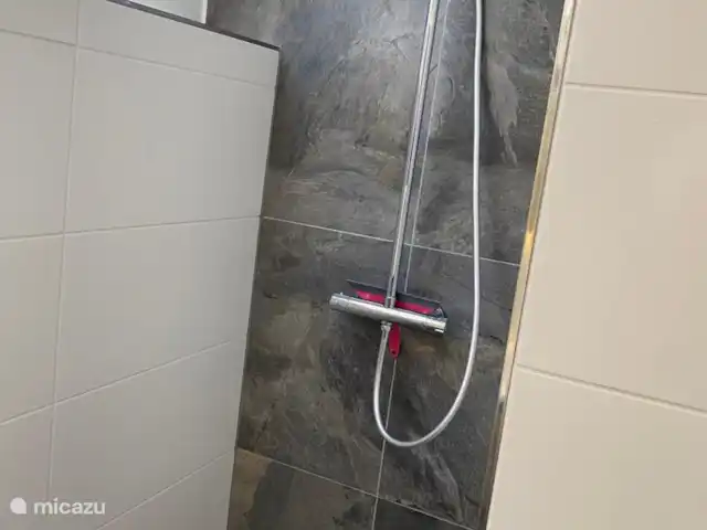 Location de Vacances Allemagne, Sauerland, Frankenau, maison de vacances - Hexenhuisje Sauerland Belle douche