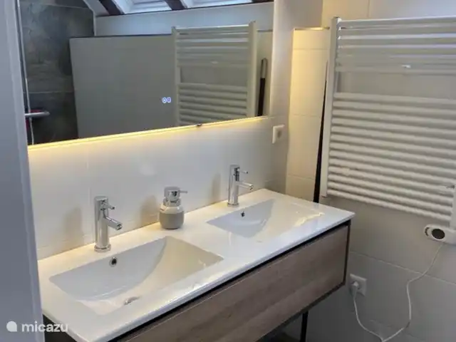 Location de Vacances Allemagne, Sauerland, Frankenau, maison de vacances - Hexenhuisje Sauerland Salle de bain avec miroir LED et miroir chauffant.