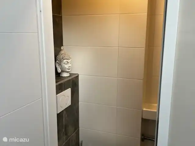 Location de Vacances Allemagne, Sauerland, Frankenau, maison de vacances - Hexenhuisje Sauerland Toilettes modernes, avec économie d’eau