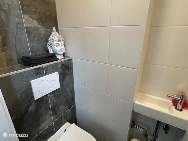 Location de Vacances Allemagne, Sauerland, Frankenau, maison de vacances - Hexenhuisje Sauerland Toilette
