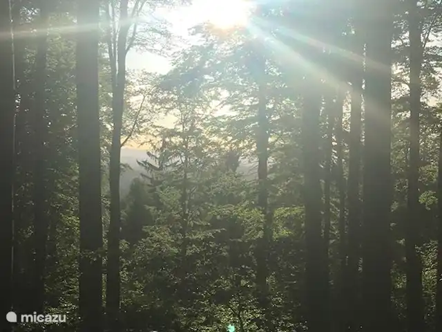 Location de Vacances Allemagne, Sauerland, Frankenau, maison de vacances - Hexenhuisje Sauerland Arrière Ferienpark, parc national de Kellerwald, belles promenades