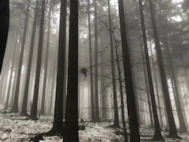 Location de Vacances Allemagne, Sauerland, Frankenau, maison de vacances - Hexenhuisje Sauerland Kellerwald
