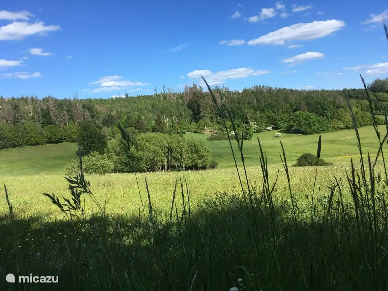 Am Rande des Ferienparks, mit Blick auf die Wiese Kellerwald
