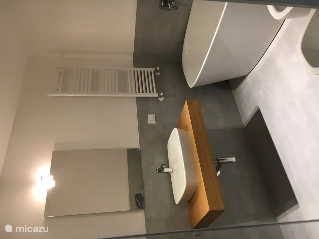 Badkamer 1 met ligbad, douche, bidet en wc