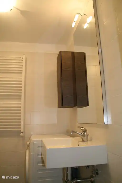 badkamer 3 - douche, wasmachine, wc