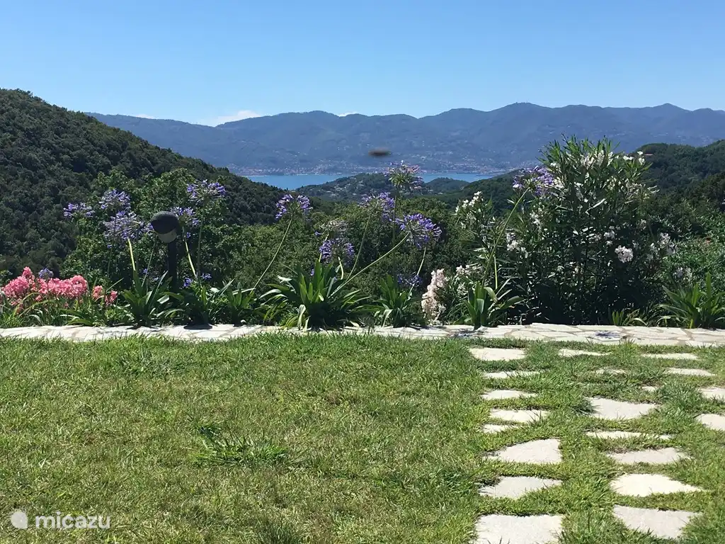 uitzicht vanaf prive tuin