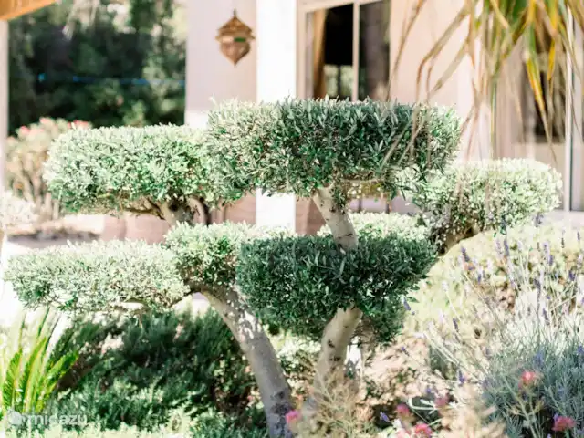 Villa Rosa | France, Aude, Pouzols-Minervois - villa