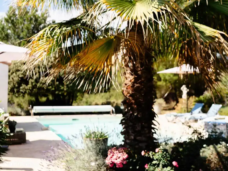 villa rosa en Francia, Aude, Pouzols-Minervois - Villa villa rosa en Francia, Aude, Pouzols-Minervois - Villa