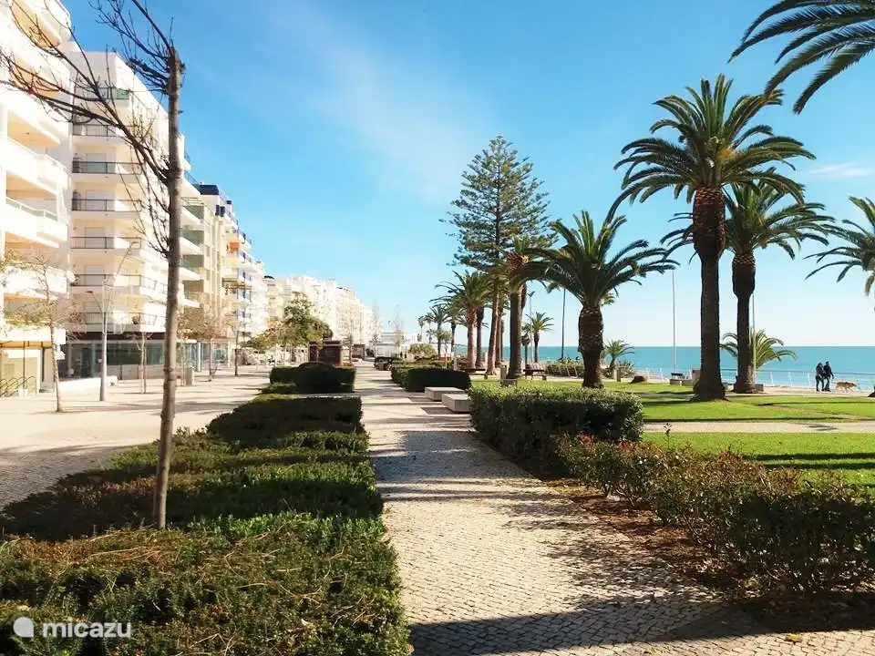 Foto del hermoso paseo marítimo.