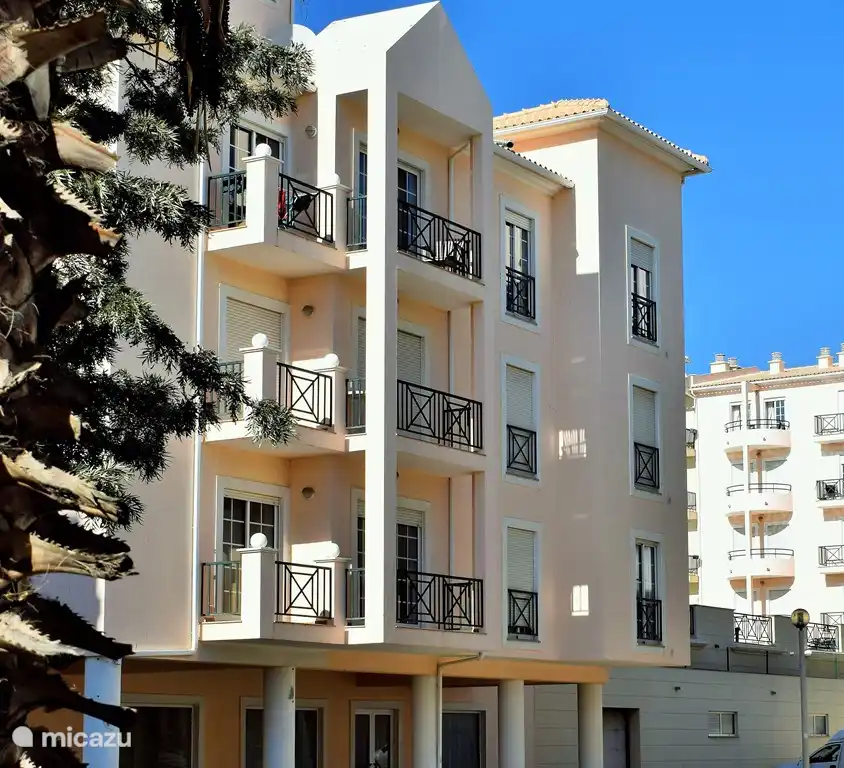 Solárium de la playa