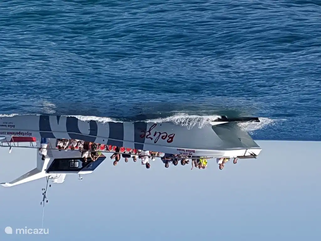 Un viaje inolvidable con el catamarán.