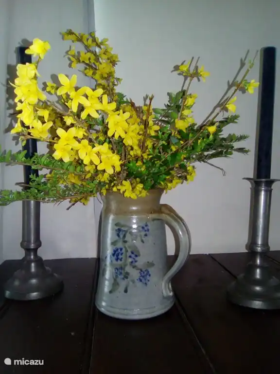 printemps dans le jardin et la maison