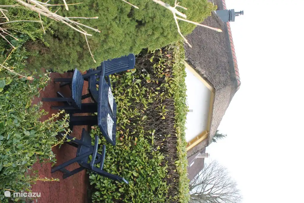 terrasse derrière la maison, sans vis à vis