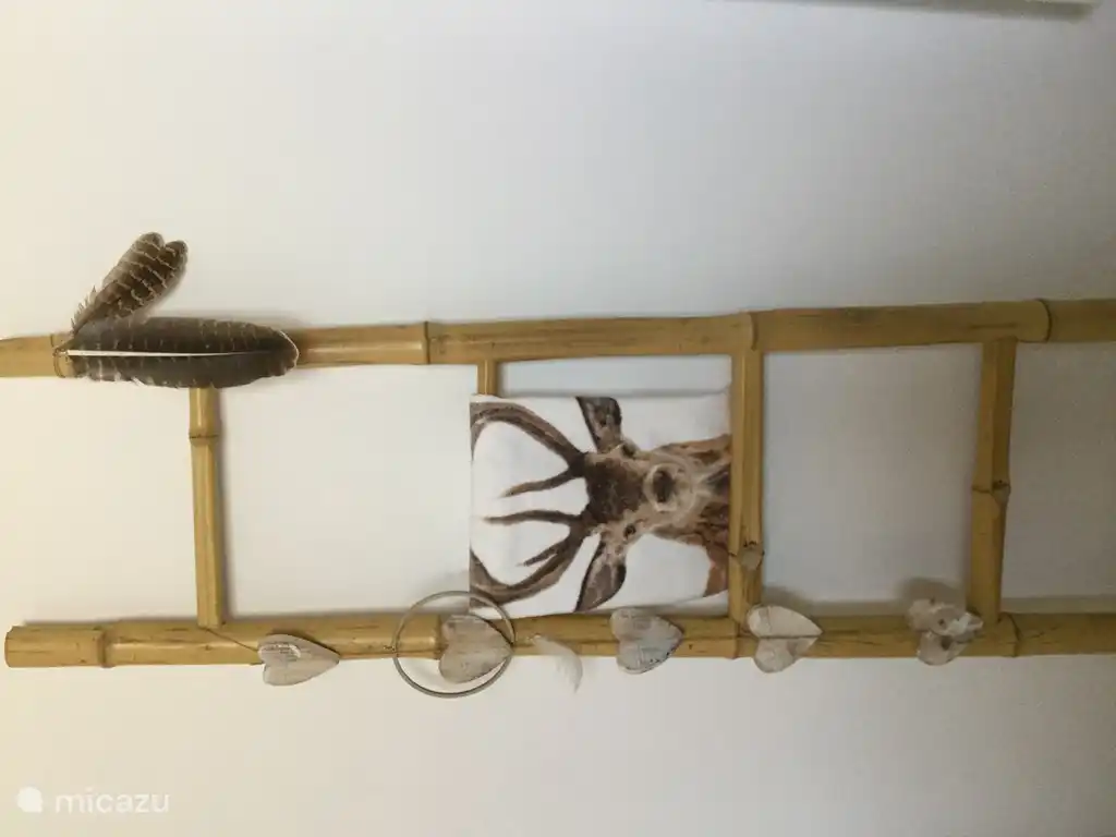 Casa ZenZeZ photo d'ambiance