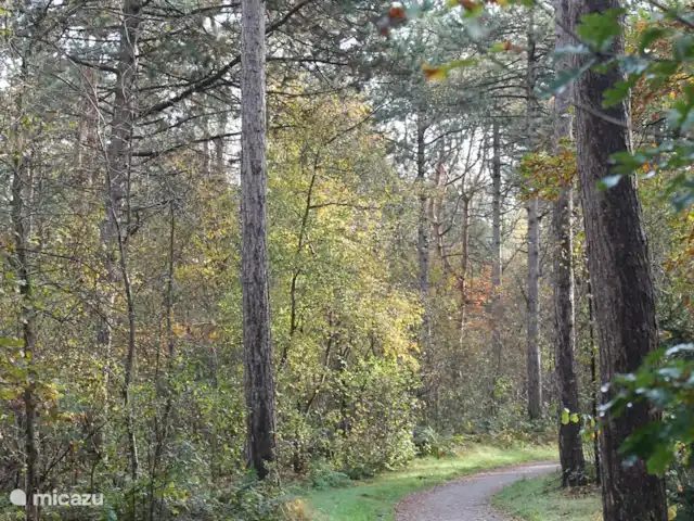 Parc Veluwerijck 20, Veluwsboerderij huren in Nederland, Gelderland, Ermelo - vakantiehuis Een fietspad achter het Parc.