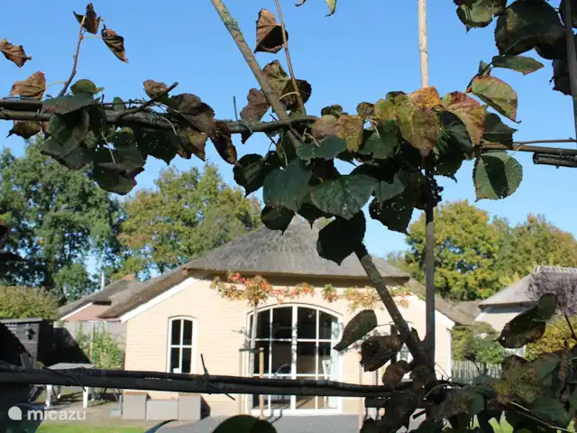 Parc Veluwerijck 20, Veluwsboerderij huren in Nederland, Gelderland, Ermelo - vakantiehuis Parc Veluwerijck 20, Veluwsboerderij huren in Nederland, Gelderland, Ermelo - vakantiehuis