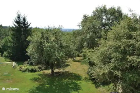 Vakantiehuis Frankrijk, Dordogne, Peyrignac villa Marcou Marcou