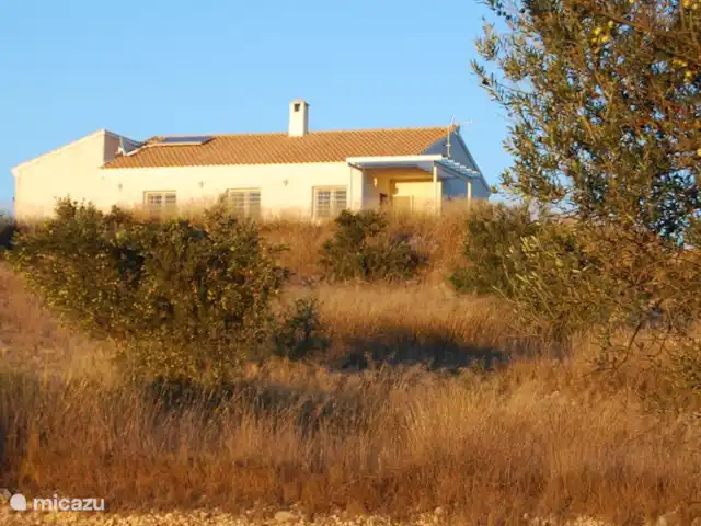 Sax | Espagne, Costa Blanca, Sax - maison de vacances Photo de la maison de la pente près des oliviers.
