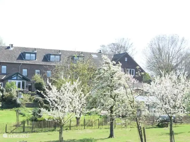 Hoeve Schevey 2 | Pays-Bas, Limbourg, Malines - maison de vacances Hoeve Schevey 2 | Pays-Bas, Limbourg, Malines - maison de vacances