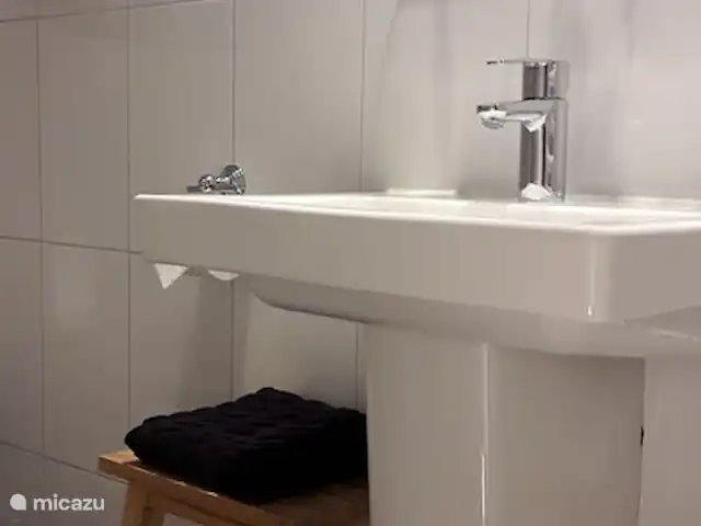 Hoeve Schevey 2 | Pays-Bas, Limbourg, Malines - maison de vacances Salle de bain luxueuse, entièrement rénovée en 2016.