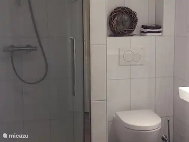 Hoeve Schevey 2 | Pays-Bas, Limbourg, Malines - maison de vacances Salle de bain luxueuse, entièrement rénovée en 2016, avec une douche merveilleusement spacieuse (1 x 1 mètre).
