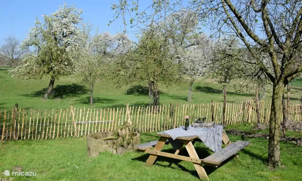 Genießen Sie die Aussicht auf den Obstgarten