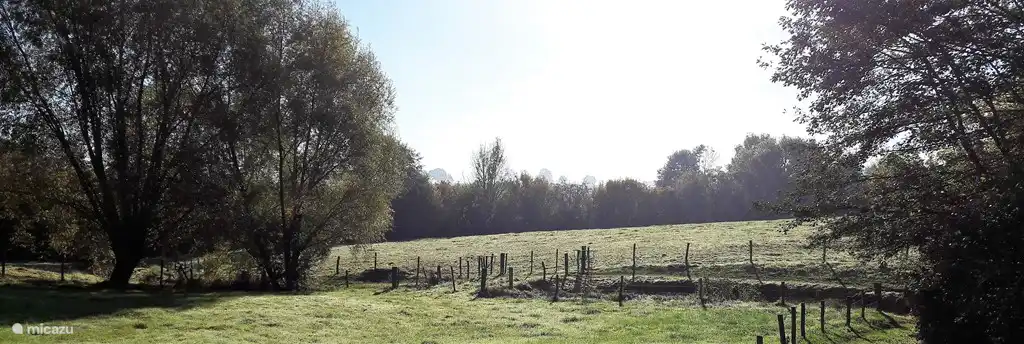 Rund um Homestead schöne Wanderungen!