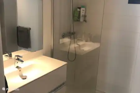 Vakantiehuis Spanje, Ibiza, Cala Tarida - appartement Buen Lugar badkamer