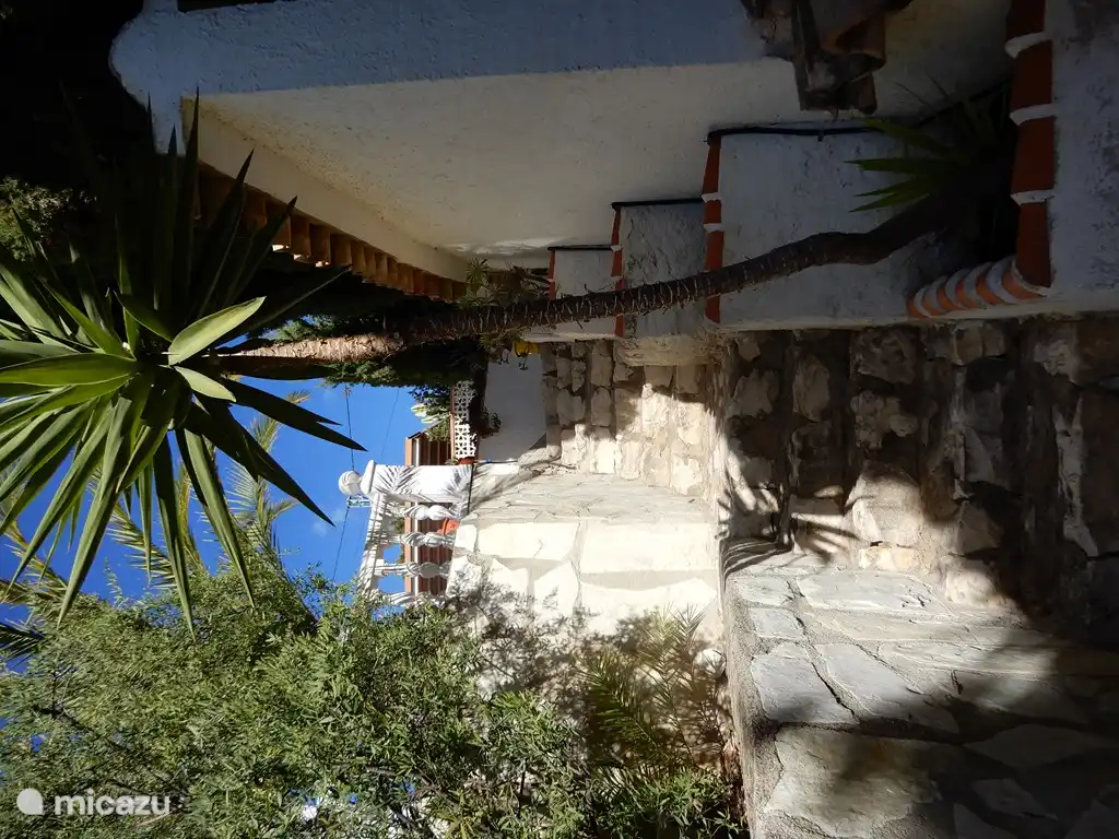 Erstaunlicher Platz rund um das Haus