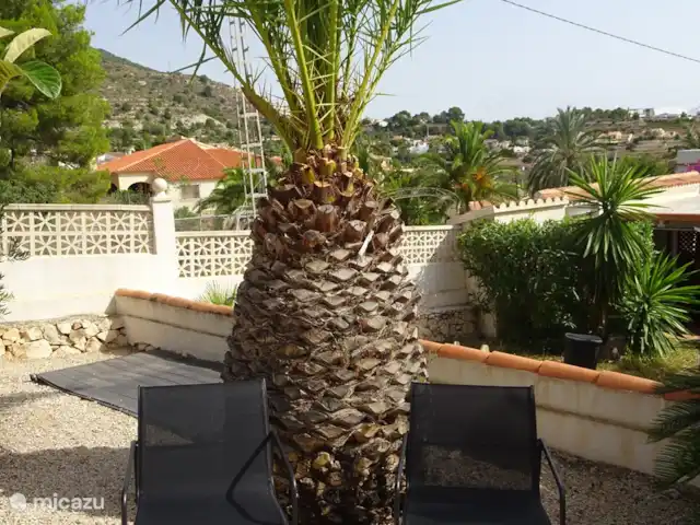 Casa Rana Verde | Espagne, Costa Blanca, Calpe - villa palmier
