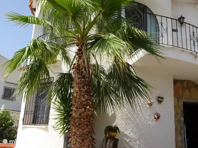 Casa Rana Verde | Espagne, Costa Blanca, Calpe - villa palmier
