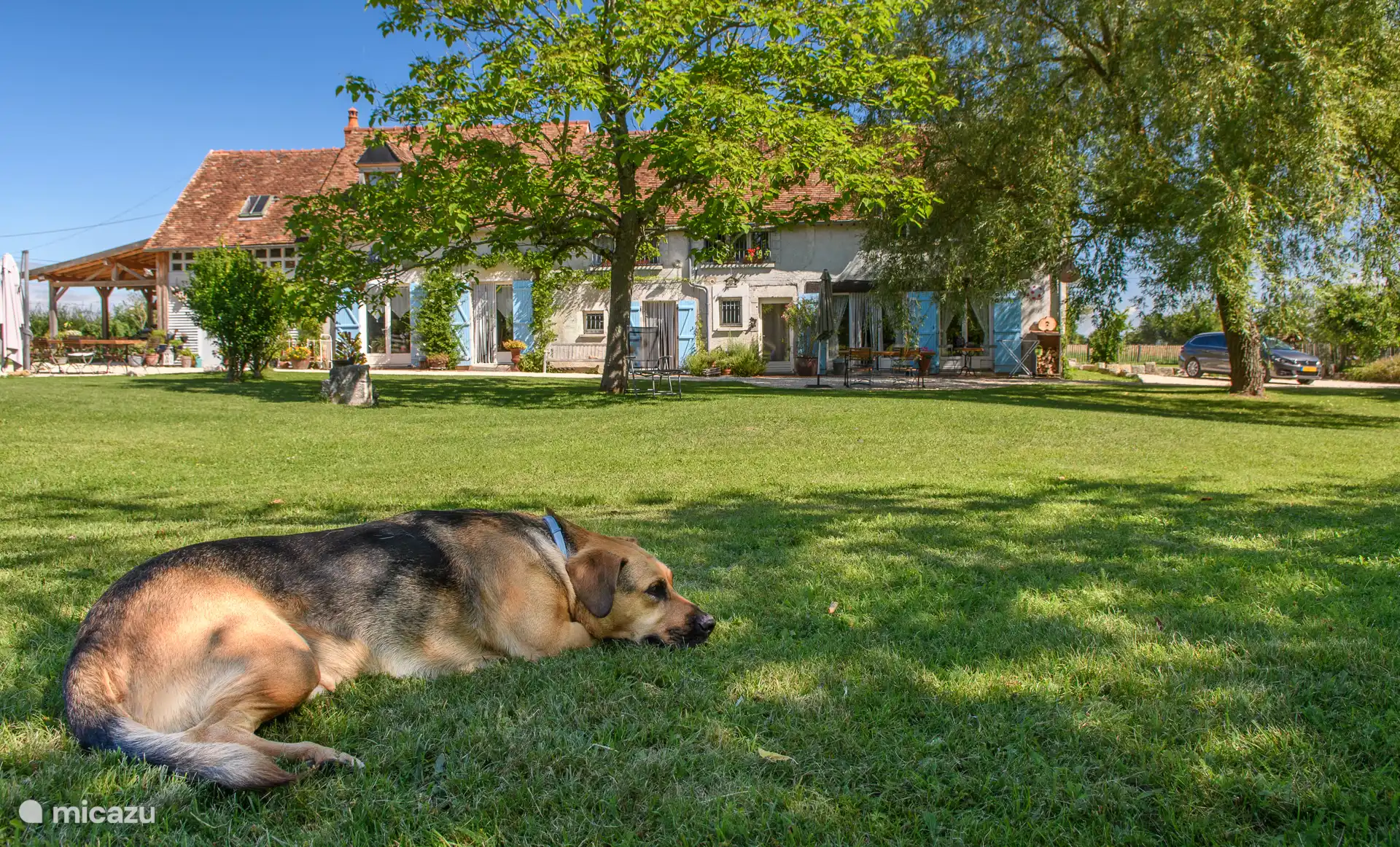 Our house dog Sjeng is everyone's friend.
