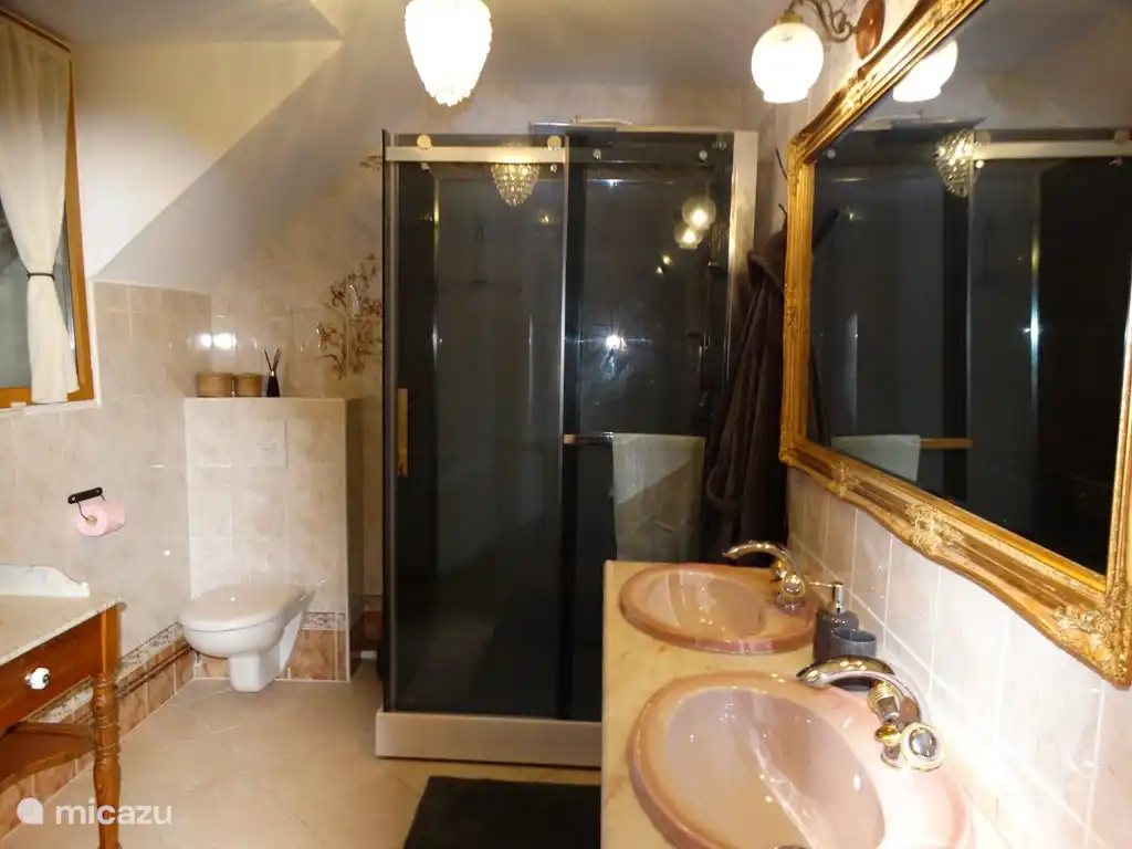 The bathroom with spacious shower cubicle.