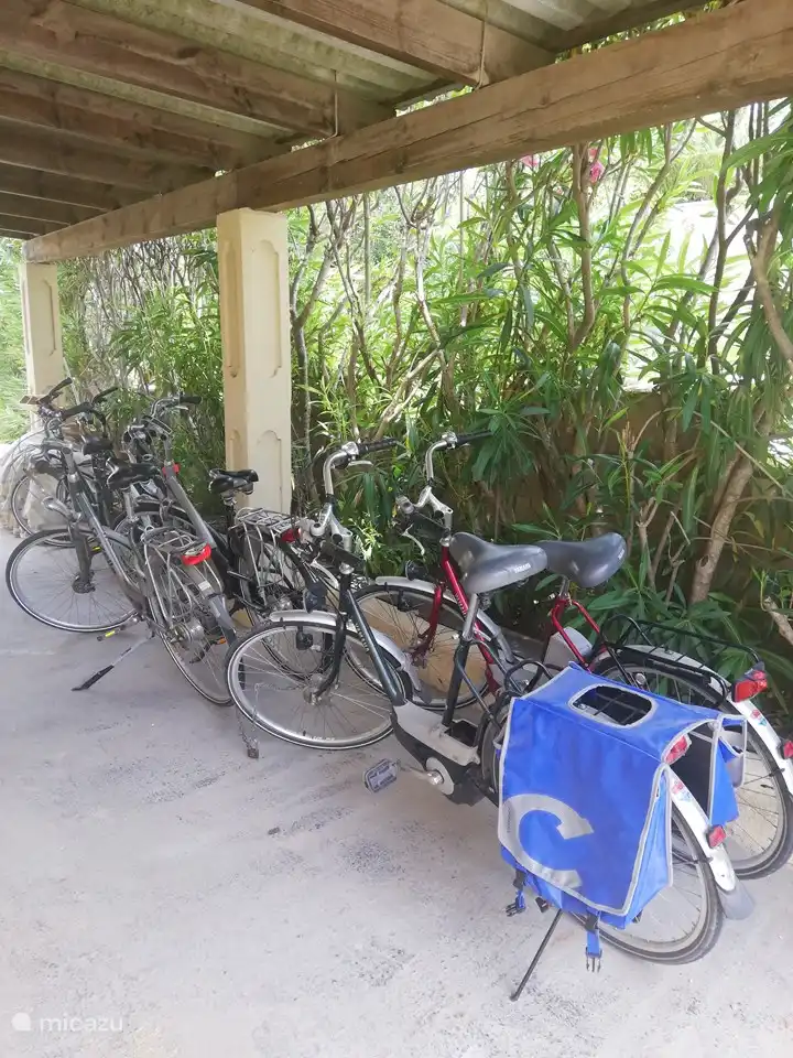 6 Fahrräder, NICHT elektrisch unterstützt, Auf nach Denia!