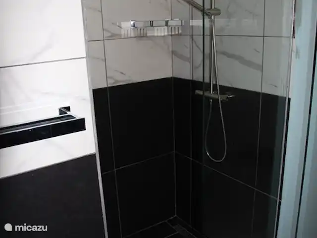 Seru Coral Apartment evt. met auto huren in Curaçao, Banda Ariba (oost), Seru Coral - appartement Douche