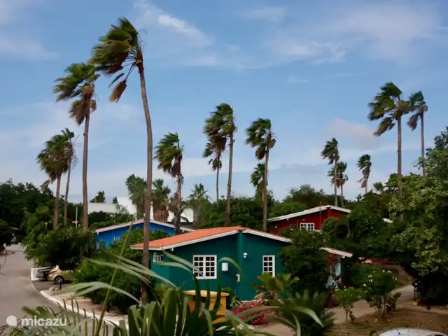 Seru Coral Apartment evt. met auto huren in Curaçao, Banda Ariba (oost), Seru Coral - appartement Park