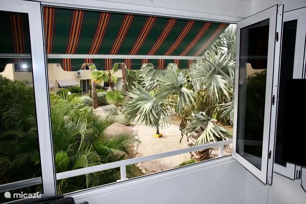 Jardin depuis le salon