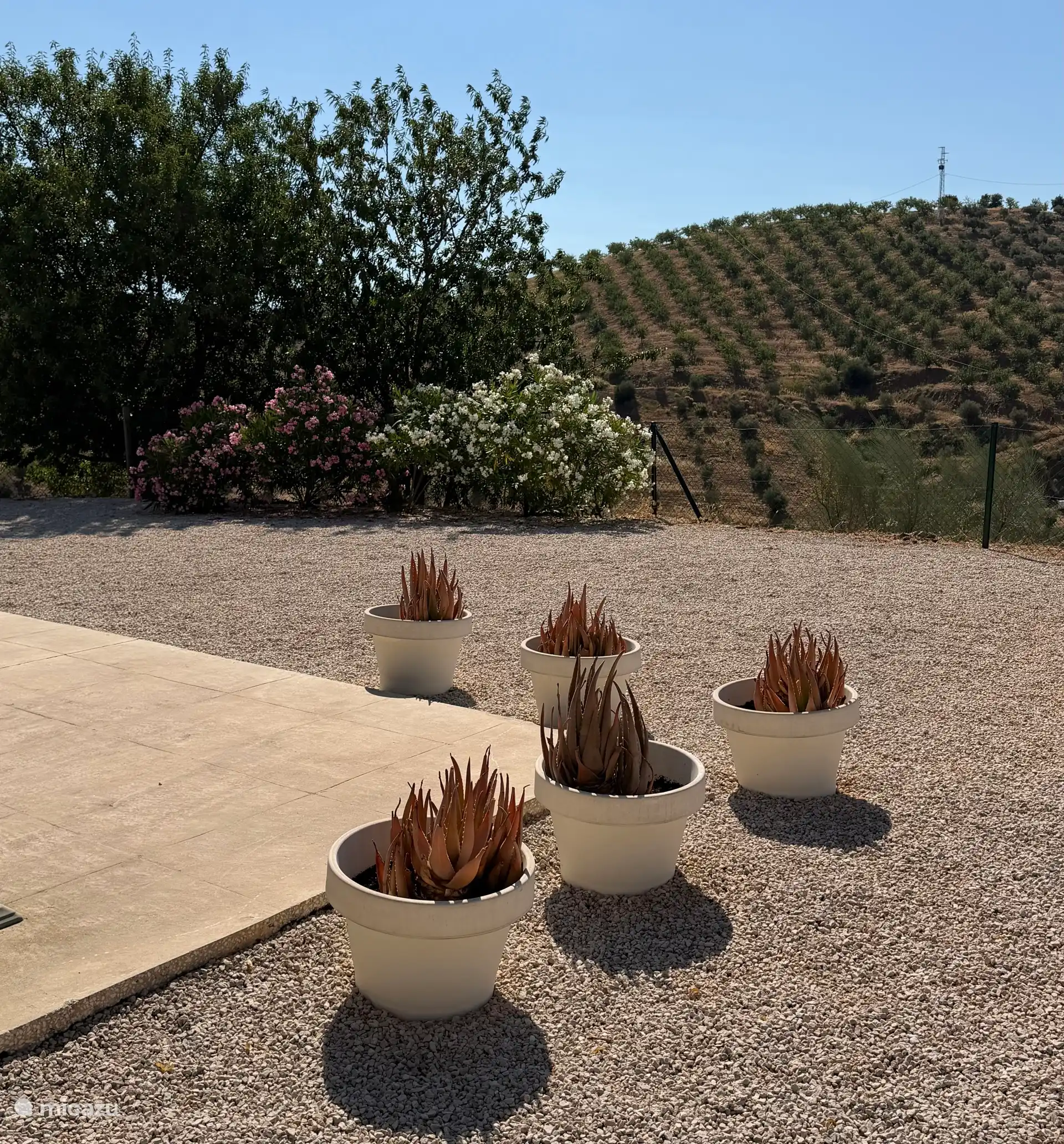 Casa de vacaciones de lujo moderna en Andalucía, España, Villa Lucas