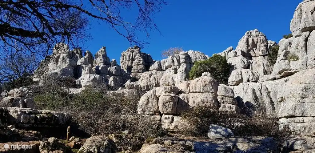 Modernes Luxus-Ferienhaus in Andalusien Spanien Villa Lucas