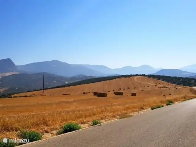 Location de Vacances Espagne, Andalousie, Colmenar, maison de vacances - Maison de vacances de luxe moderne Andalousie Maison de vacances de luxe moderne en Andalousie Espagne Villa Lucas