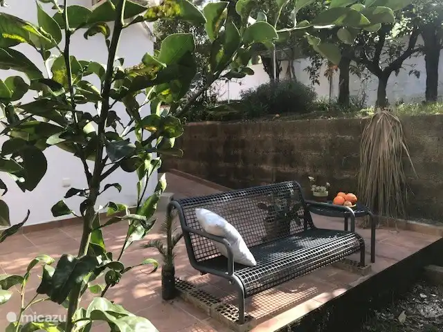 Blicken Sie von der Terrasse des Casita auf die Zitrusplantage.