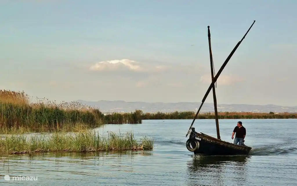 Albufera, Naturschutzgebiet in der Nähe (Reisfelder für die Paella), schön für eine Bootsfahrt von El Palmar. Das ist die ?? Paella des Dorfes Spanien.