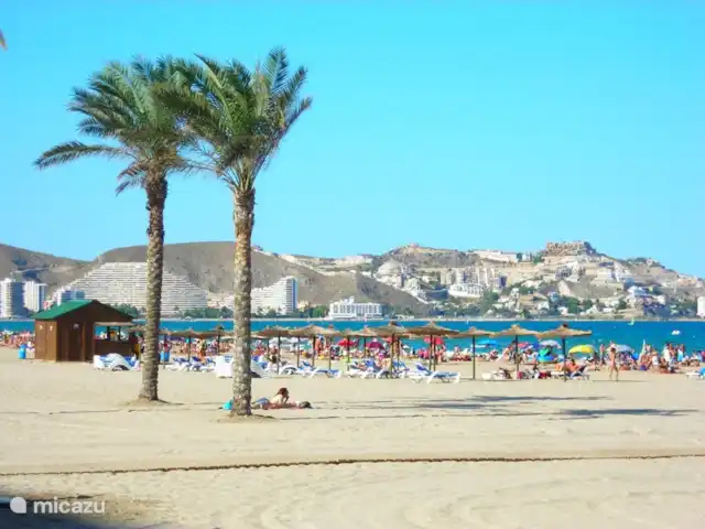 Villa Canta Corazón | Espagne, Valence, La Barraca d'Aigues Vives-Alzira - villa Longue étendue de plages Pavillon Bleu à moins de 20 minutes. C'est près de Cullera, il y a de nombreuses baies, agréables avec les enfants, bien organisées.