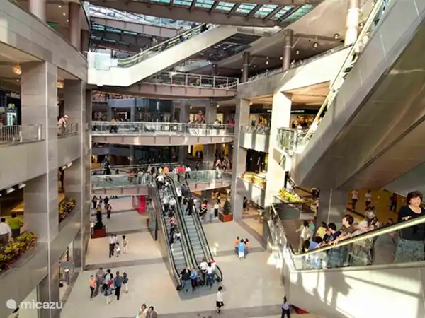 Viele Einkaufsmöglichkeiten in der Nähe (in Carcaixent, Zara/H&M etc) und Alzira. Im malerischen Einkaufszentrum Aqua, gegenüber El Corte Ingles in Valencia. Auf der anderen Seite der Calatrava-Brücke, des Einkaufszentrums El Saler und außerhalb der Stadt befindet sich Bonaire, das Einkaufsmekka (in Richtung VLC Flughafen). 