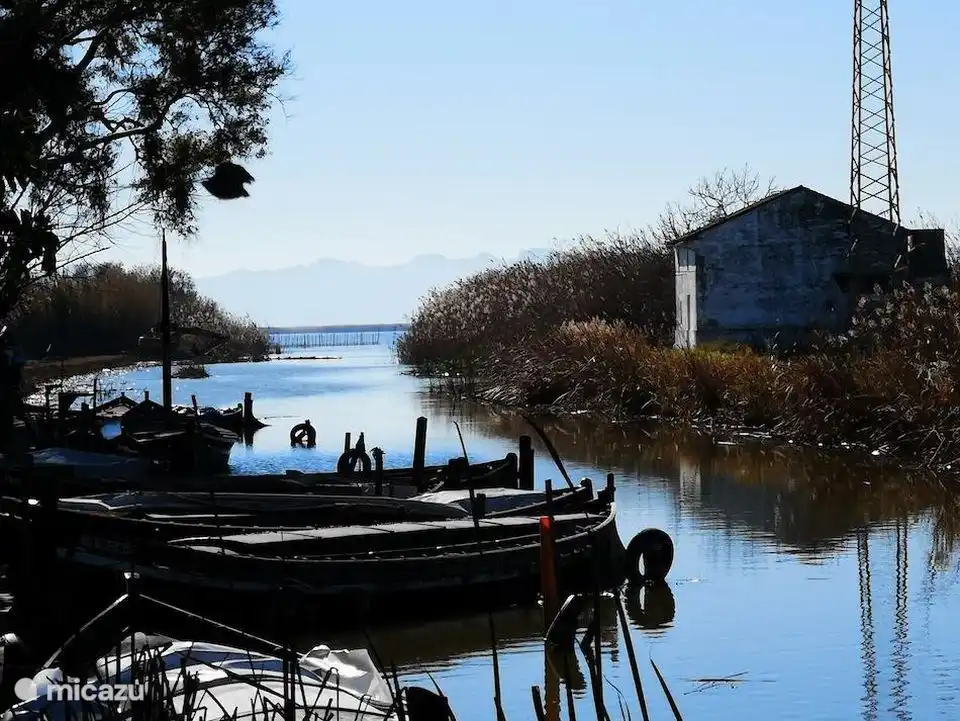 Eine schöne Bootsfahrt auf der Albufeira von El Palmer, DEM Paella-Dorf Spaniens, inmitten der Reisfelder. Schön zum Entspannen nach dem Mittagessen. Es ist ruhig, es ist ein Naturschutzgebiet.