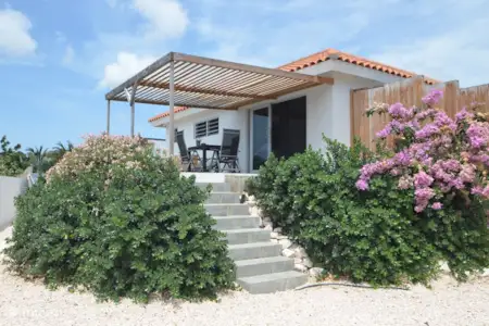 Download Night Life Entertainment Rent These Holiday Homes Micazu For iPhone Free Wallpaper Night Life Entertainment Rent These Holiday Homes Micazu Free HD