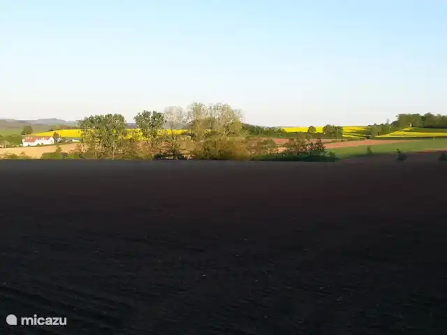 Location de Vacances Allemagne, Eifel, Lissendorf, maison de vacances - Extraordinaire dans l'Eifel Au bord du Feriendorf au coucher du soleil.