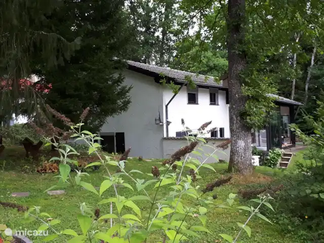 Location de Vacances Allemagne, Eifel, Lissendorf, maison de vacances - Extraordinaire dans l'Eifel Vue depuis le chemin le Lindenweg sur le chemin sont 15 maisons.