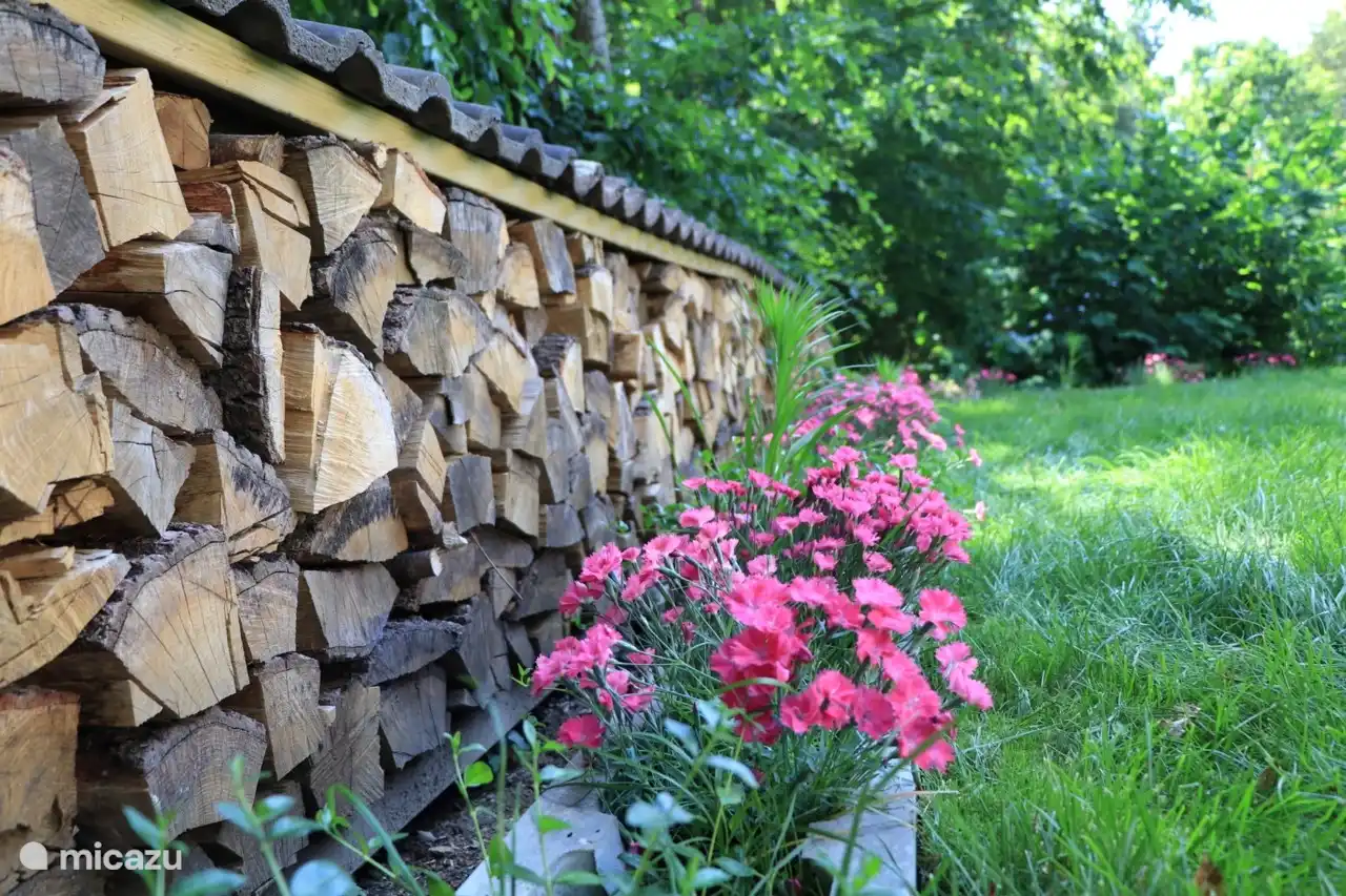 Garten hinter dem Haus